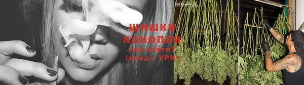 трава Осташков