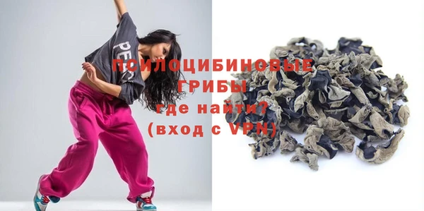 PSILOCYBIN Остров