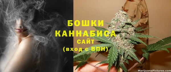 молекула духа Ельня