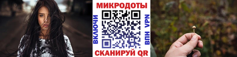 это клад Приморско-Ахтарск Псилоцибиновые грибы ЛСД